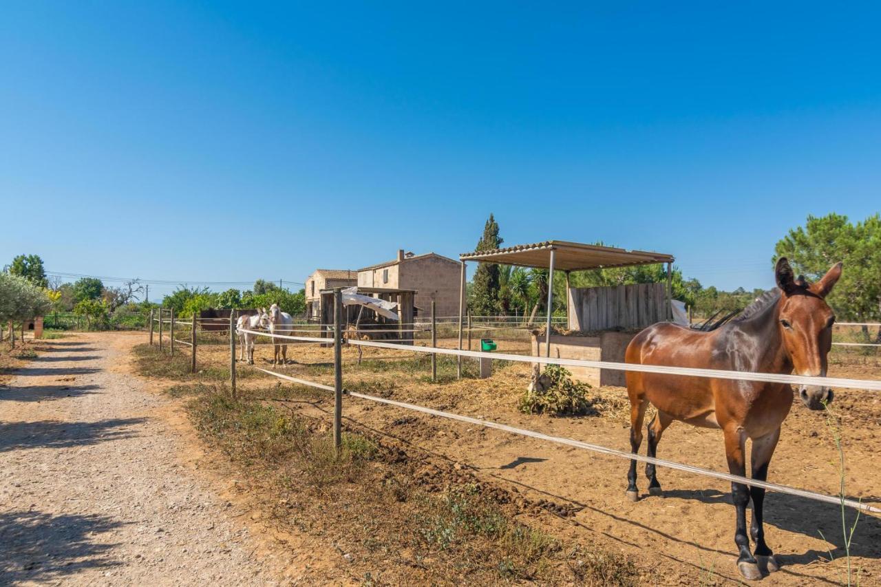 Villa Lo den Creus à Campos  Extérieur photo