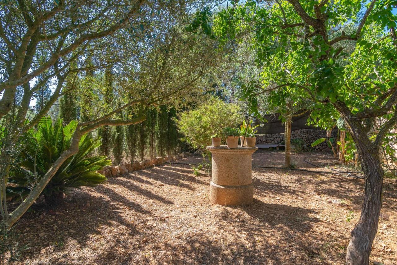 Villa Lo den Creus à Campos  Extérieur photo